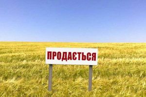 Продажа земли